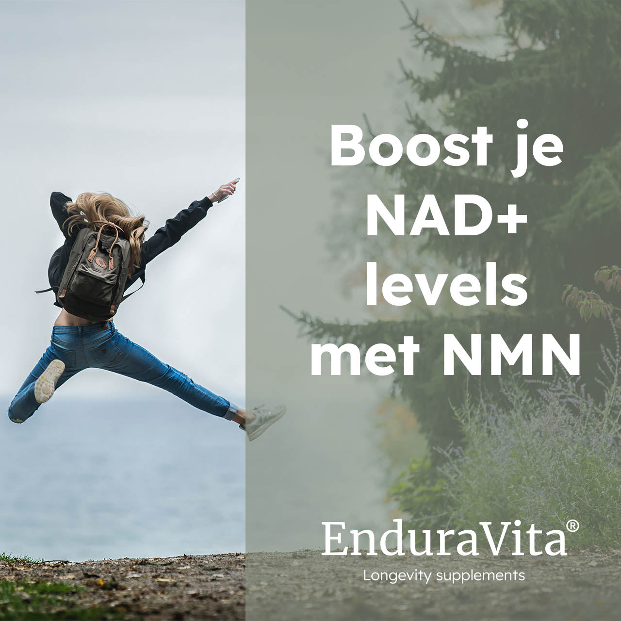 Fördelspaket NMN Kapslar 120x250mg