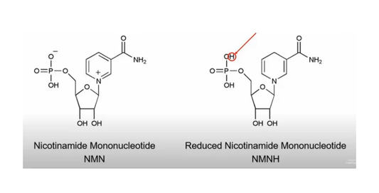NMN versus NMNH: Wat is het verschil en wat is beter voor jouw gezondheid?